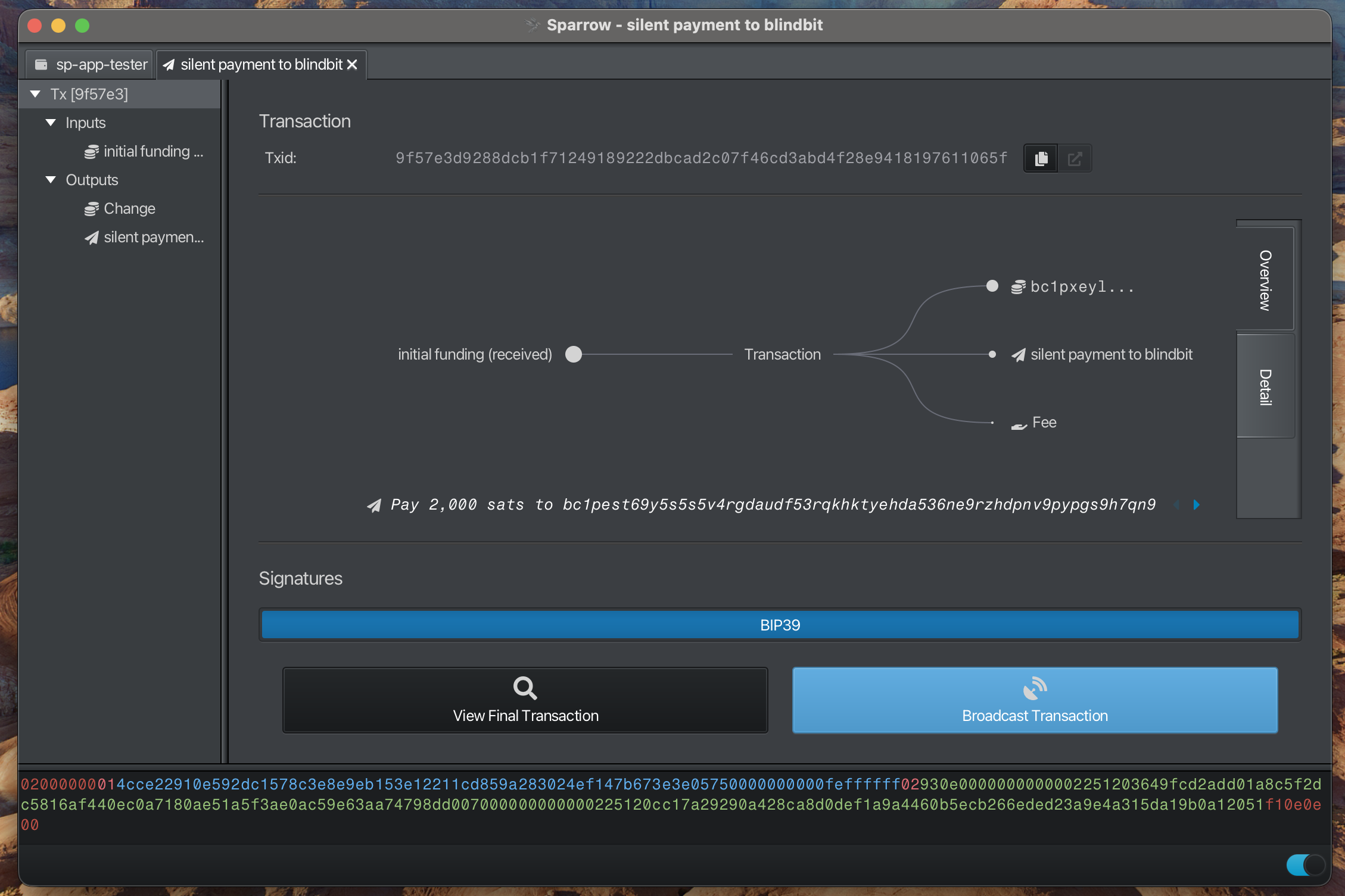 Broadcast Transaction