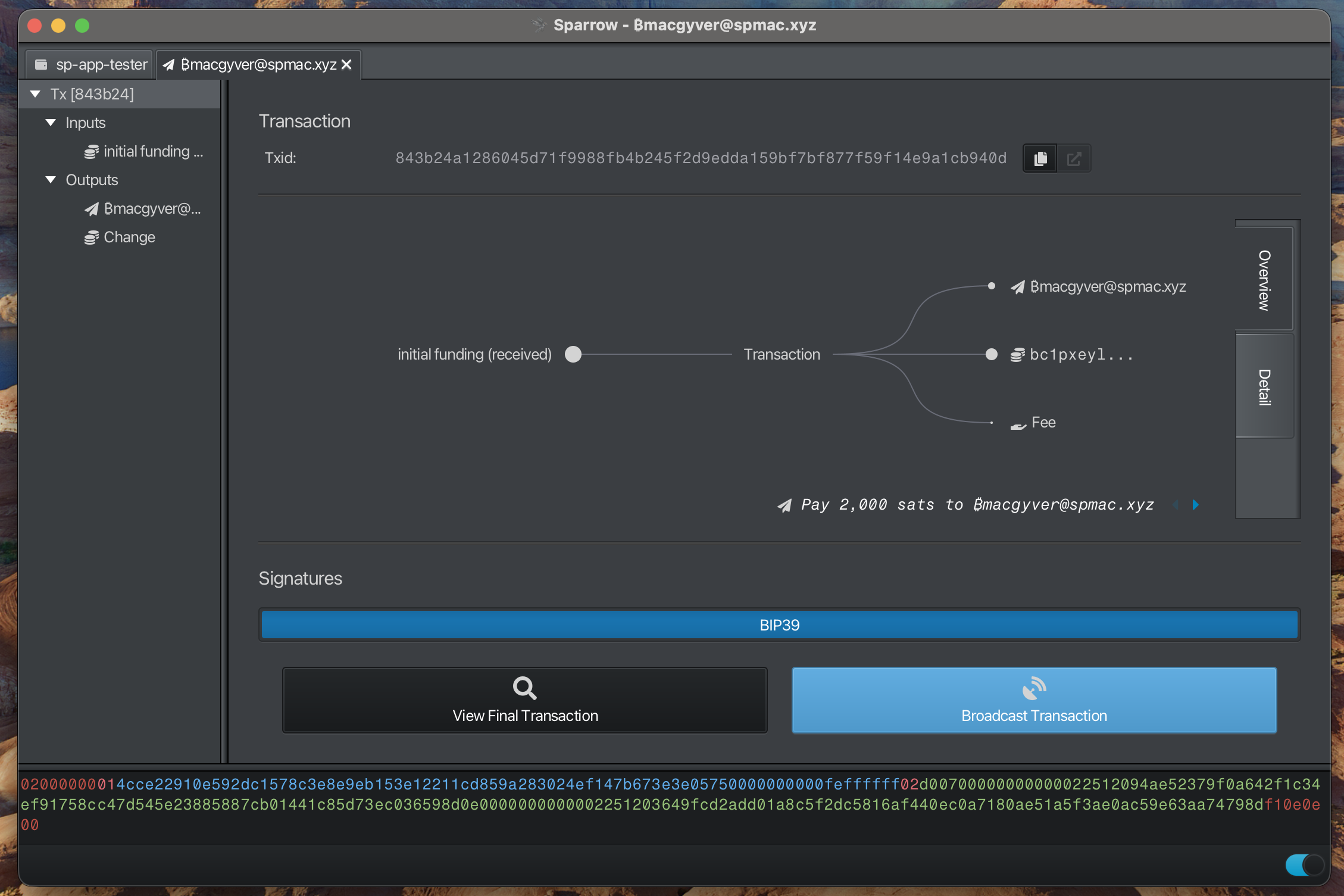 Broadcast Transaction
